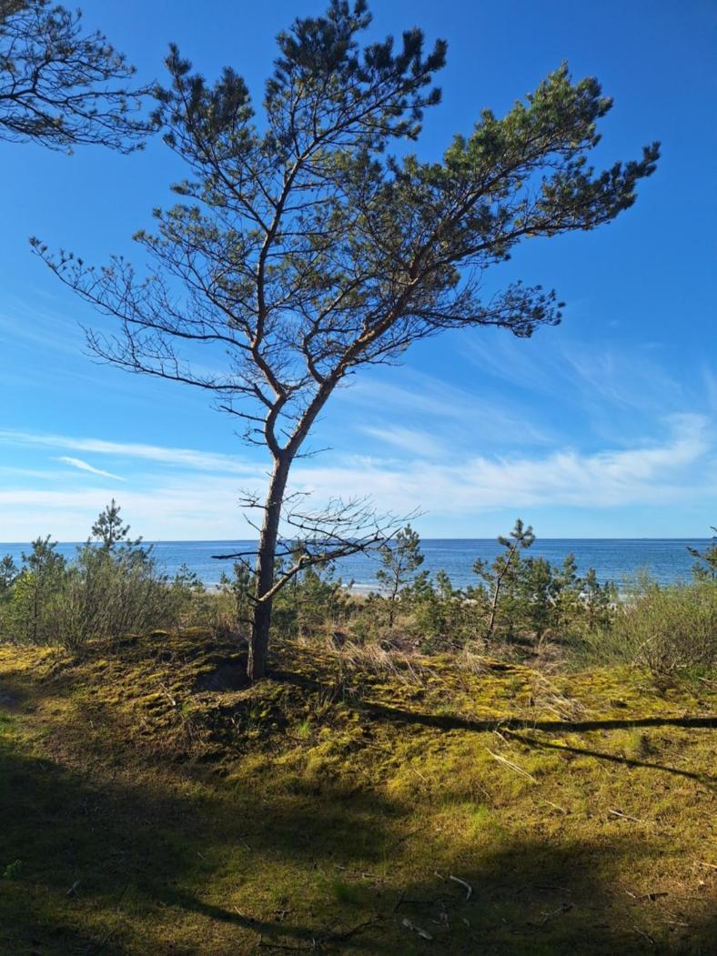 Helios Hotell Dębki Exteriör bild